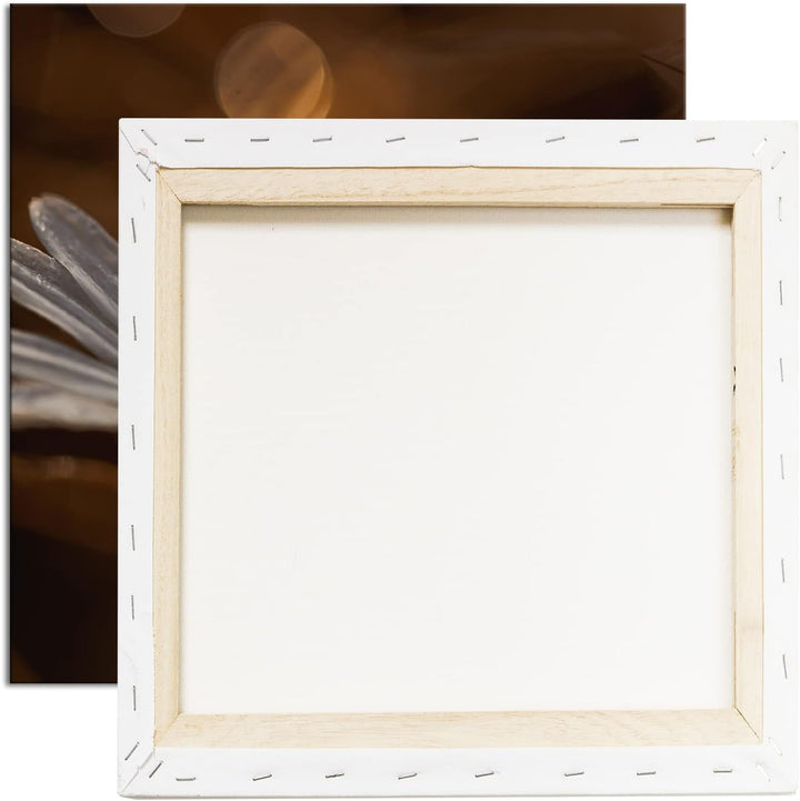 Margerite im Morgentau Format: 70x70 als Leinwandbild, Motiv fertig gerahmt auf Echtholzrahmen, Hoch