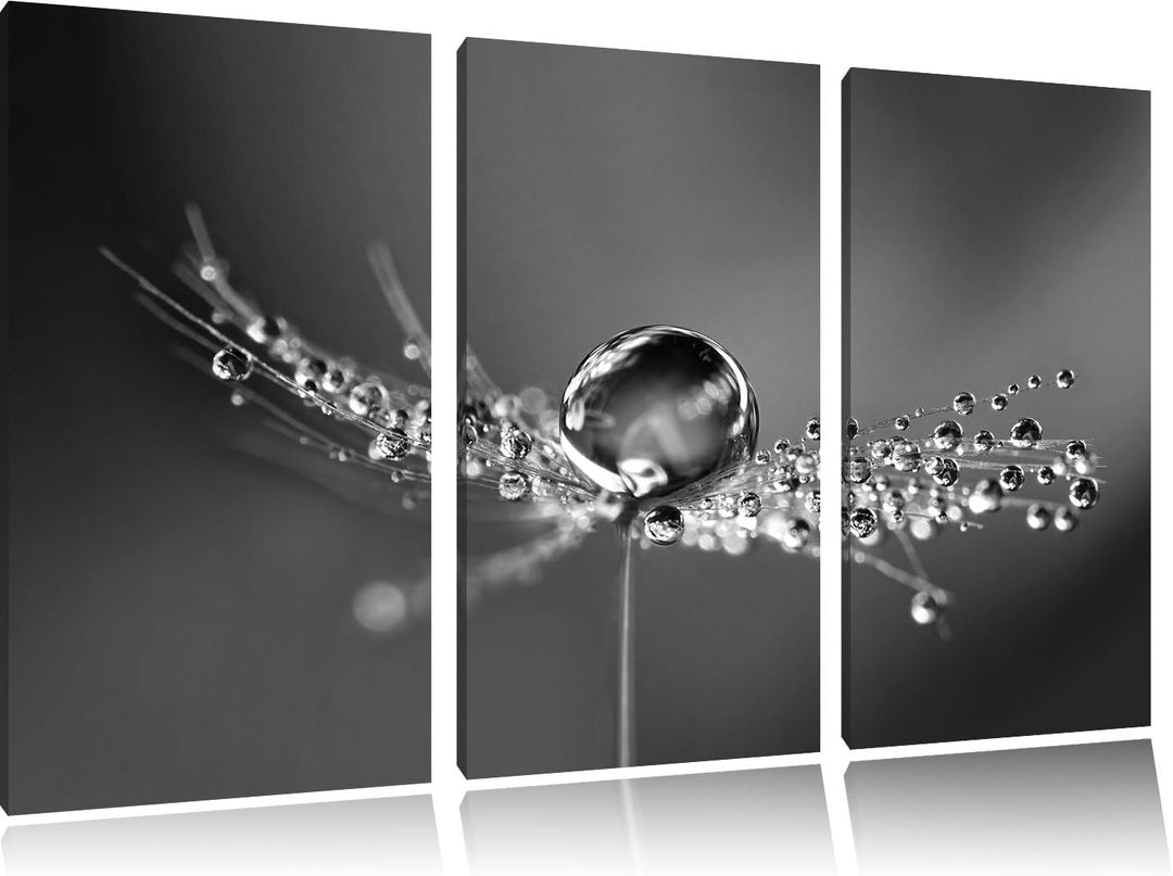 Pixxprint Wassertropfen auf Einer Pusteblume / 3-Teilig/Gesamtmass 120cm Leinwandbild bespannt auf H