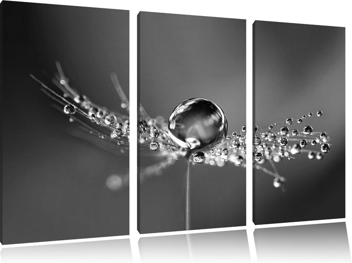Pixxprint Wassertropfen auf Einer Pusteblume / 3-Teilig/Gesamtmass 120cm Leinwandbild bespannt auf H