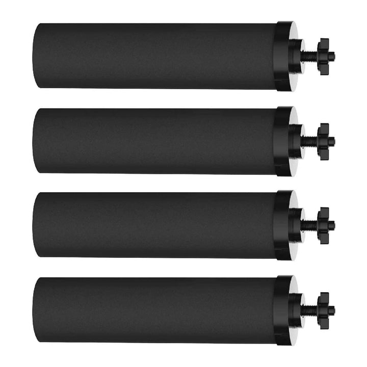 HUINING 4 Stück schwarze Wasserfilter für Wasseraufbereitungseinheit, Wasserfilter, Ersatz für Haush