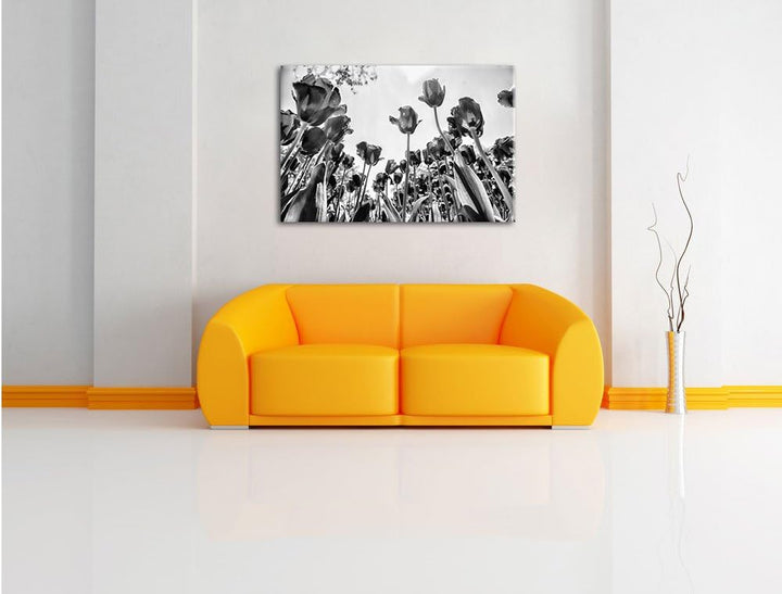 Monocrome, Rosenfeld, Format: 100x70 auf Leinwand, XXL riesige Bilder fertig gerahmt mit Keilrahmen,