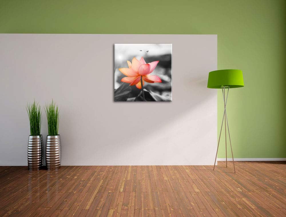 zarter Lotus schwarz/weiss, Format: 70x70 auf Leinwand, XXL riesige Bilder fertig gerahmt mit Keilra