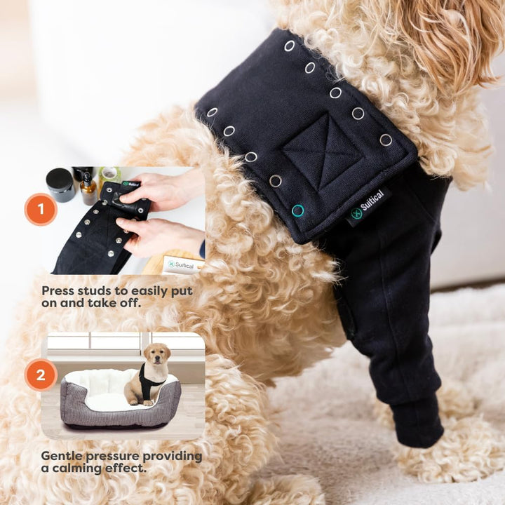 Suitical Recovery Sleeve Hund, XL, Schwarz Schwarz XL, Schwarz XL