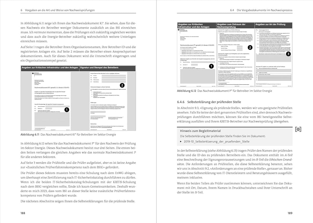 KRITIS: Anforderungen, Pflichten, Nachweisprüfung. Das Handbuch aktuell zur neuen KRITIS-Verordnung,