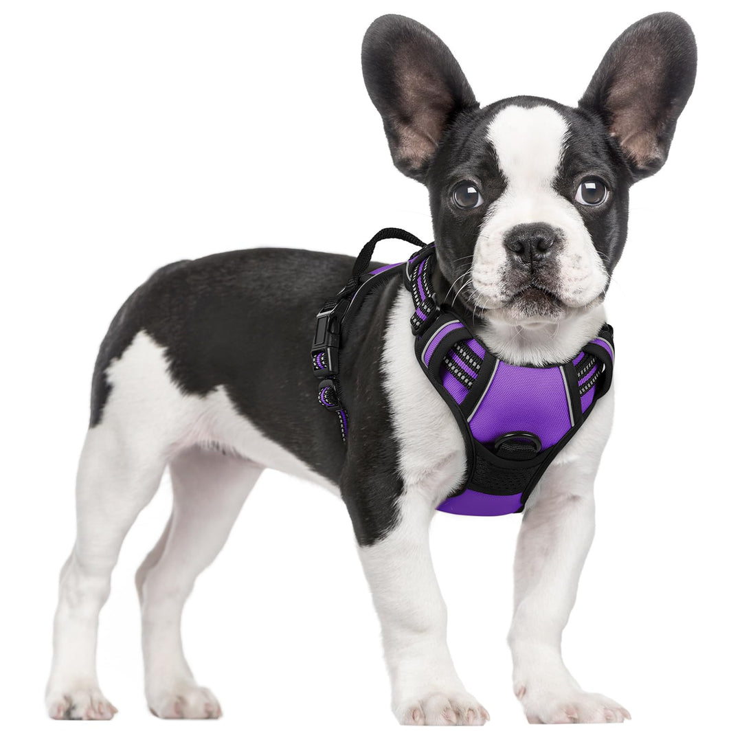 rabbitgoo Hundegeschirr Mittelgrosse Hunde, Anti Zug Geschirr mit Kontrolle, No Pull Verstellbar Hun