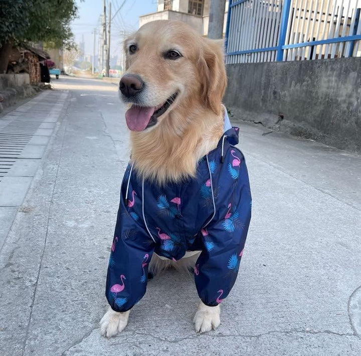 Idepet Regenmantel für Hunde Regenjacke Hund Winddicht Wasserdicht Hundamantel mit Kapuze für kleine