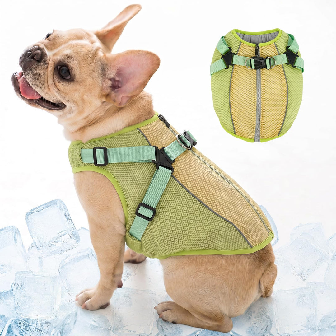 Kühlweste Hund mit Geschirr, Hundekühlweste für kleine Hunde, Atmungsaktive Kühljacke mit Verdunstun