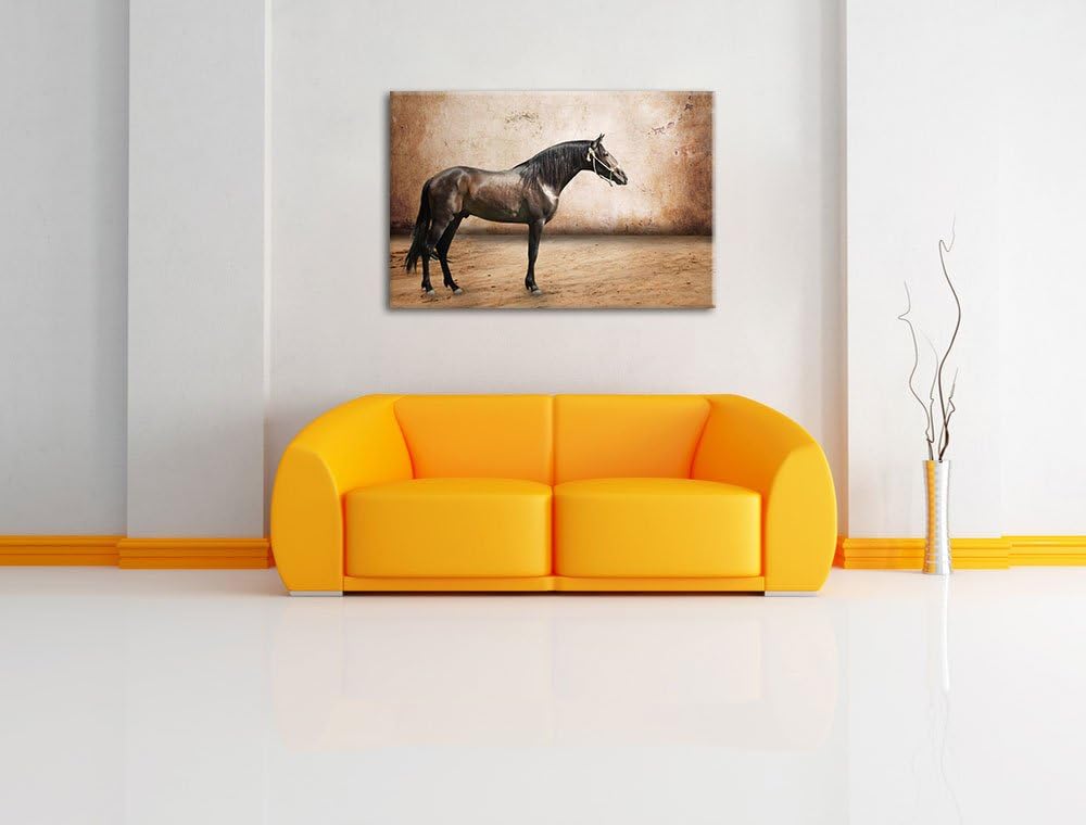 Pixxprint Brauner Hengst Format: 100x70 auf Leinwand, XXL riesige Bilder fertig gerahmt mit Keilrahm