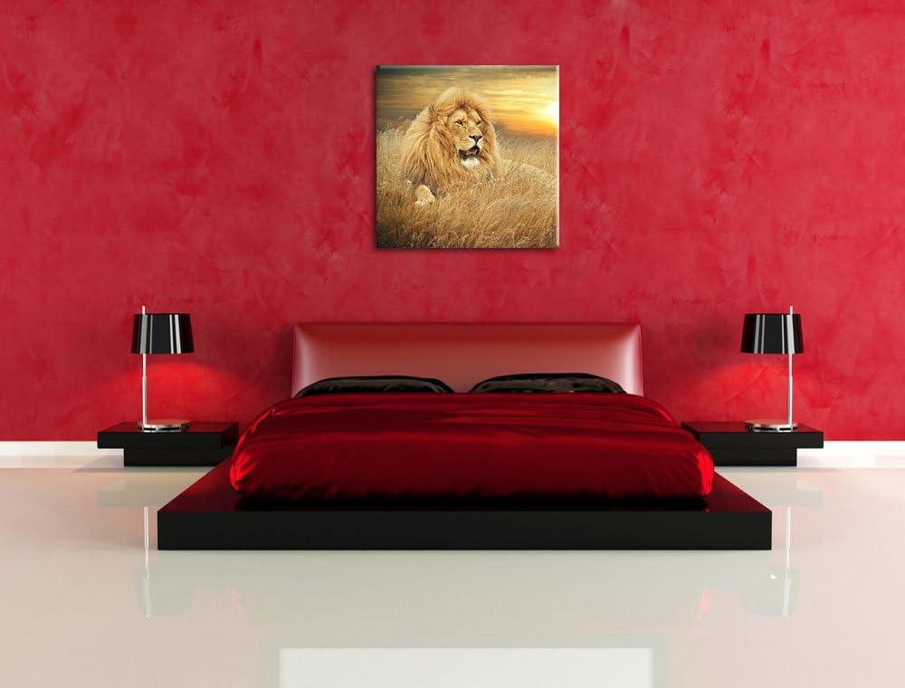 Pixxprint mächtiger Löwe, Format: 70x70 auf Leinwand, XXL riesige Bilder fertig gerahmt mit Keilrahm