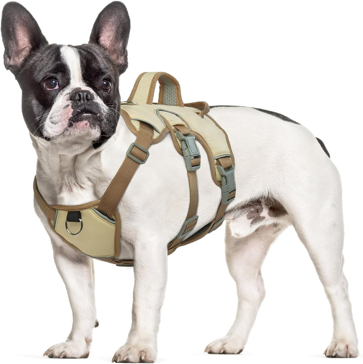 Hjumarayan Hundegeschirr Mittelgrosse Hunde - Reflektierende Geschirr Hund Wasserdicht Sicherheitsge
