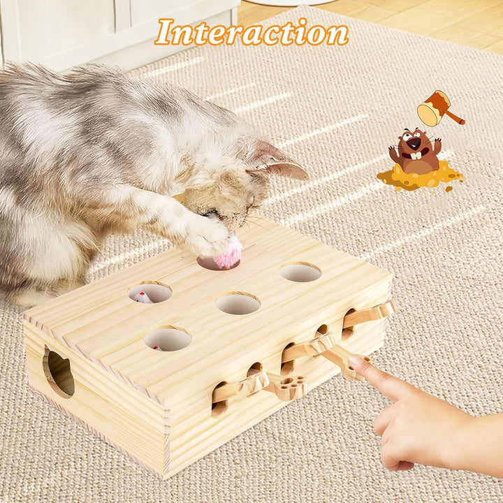 Interaktives Katzenspielzeug Holz Spielzeug, Maulwurf Maus, Puzzle Box mit Spielzeugen für Katzen, J
