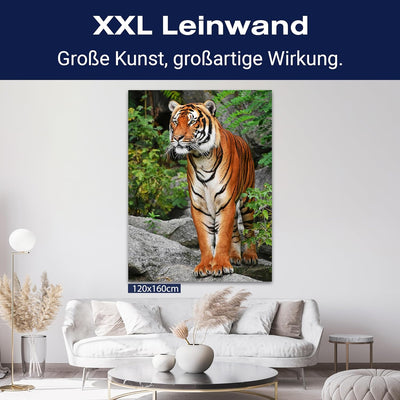 wandmotiv24 Leinwand-Bild Tiger, Grösse 60x45cm, Hochformat, Wandbilder, Dekoration Wohnzimmer moder