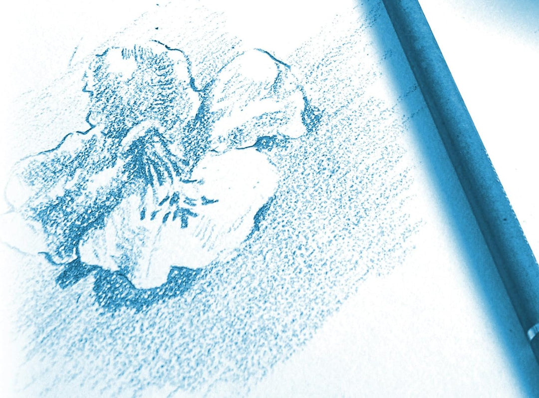 Clairefontaine 96620C Zeichenblock Kopfseitig Geleimt Dessin a Grain, Din A2, 42 x 59 cm, 30 Blatt,