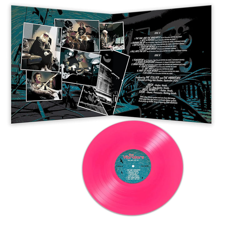 Fall Into the Sky (Pink), Vinyl