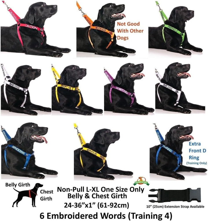 Dexil Limited Trainingsleine für Hunde, Blau, farbcodiert, 6 cm oder 1,8 m oder 1,8 m 6 Foot Leash,