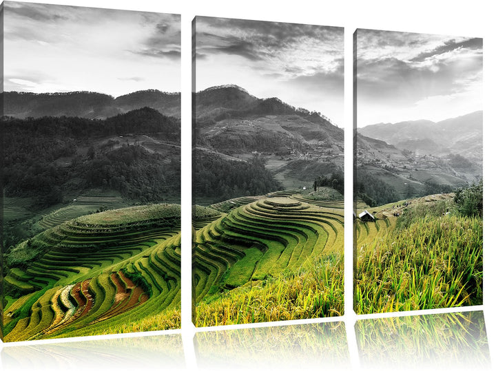 Pixxprint Reisfelder in Vietnam als Leinwandbild/Grösse: 3 Teilig (120x80) cm/Wandbild/Kunstdruck/fe