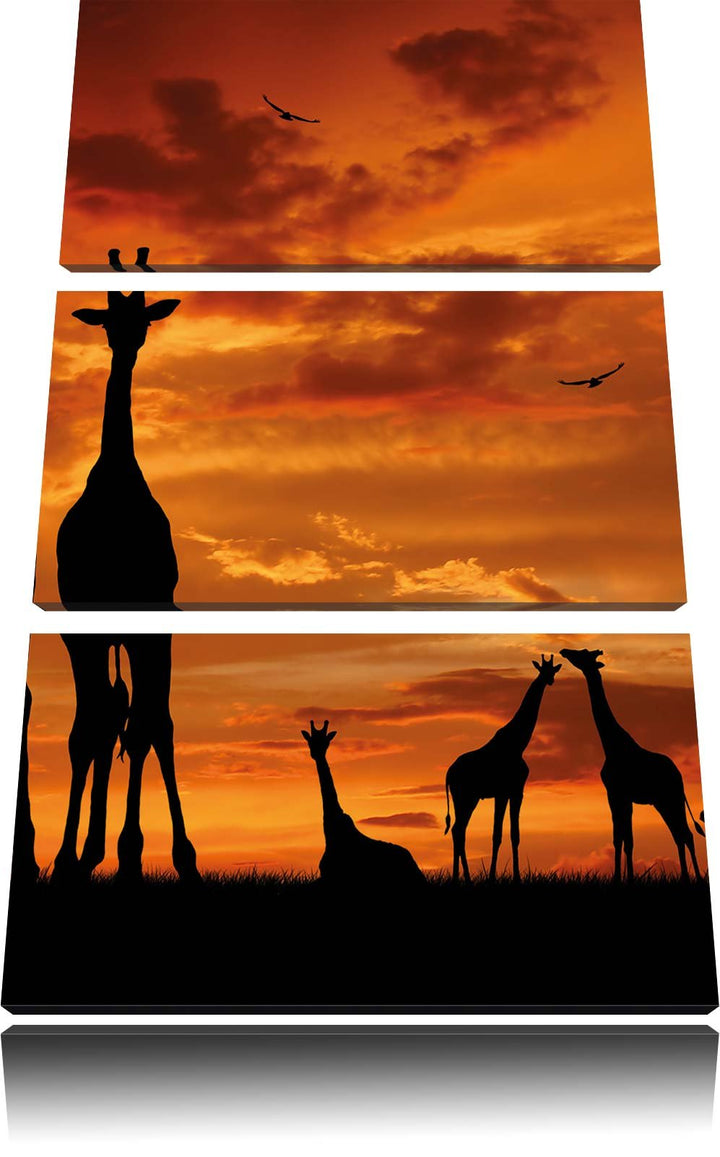 Pixxprint Afrika Giraffen im Sonnenuntergang 3-Teiler Leinwandbild 120x80 Bild auf Leinwand