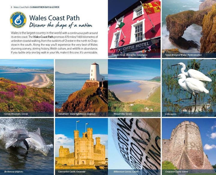 Carmarthen Bay & Gower: Tenby to Swansea (Official Guide - Wales Coast Path), Taschenbuch
