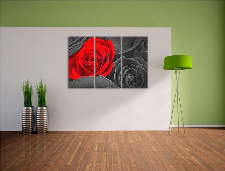 romantische rote Rosen schwarz/weiss Deluxe 3-Teiler Leinwandbild 120x80 Bild auf Leinwand, XXL ries