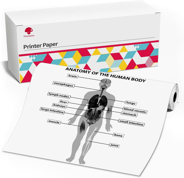Phomemo M08F Rollen Thermopapier, A4 Thermodrucker-Papierrolle kompatibel mit dem tragbaren Drucker