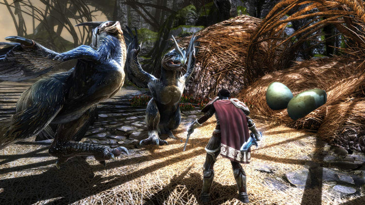 Kingdoms of Amalur Re-Reckoning (Nintendo Switch) Nintendo Switch Standard, Nintendo Switch Standard