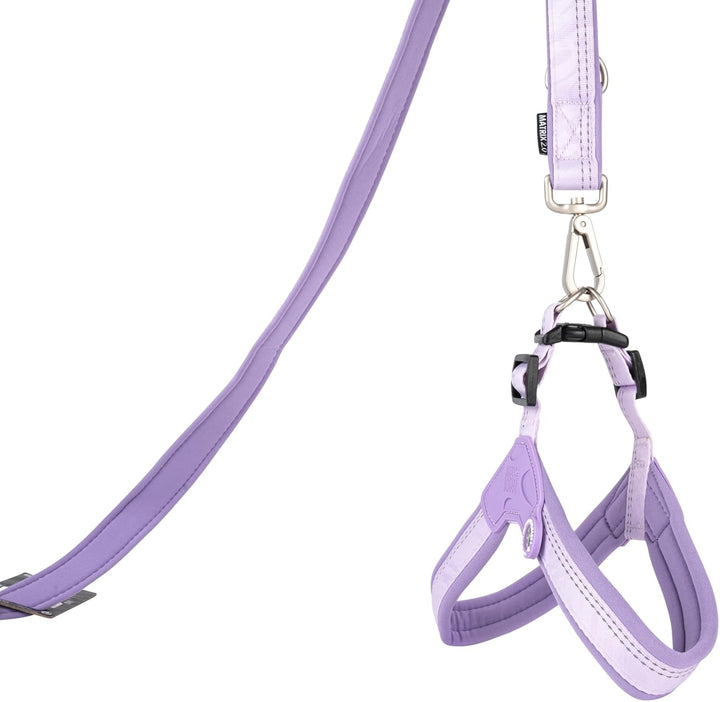 Max & Molly Q-Fit Hundegeschirr Mittelgrosse Hunde mit Gotcha! Smart ID Sicherheitsanhänger, Matrix