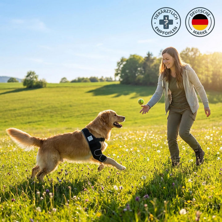 Nature Pet Ellenbogenbandage Hund/Ellenbogenschoner mit Netzeinsatz für Kühl- oder Wärmepads – ideal