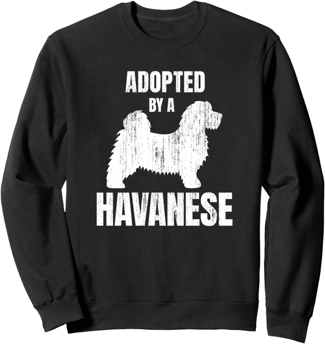 Havaneser Sweatshirt