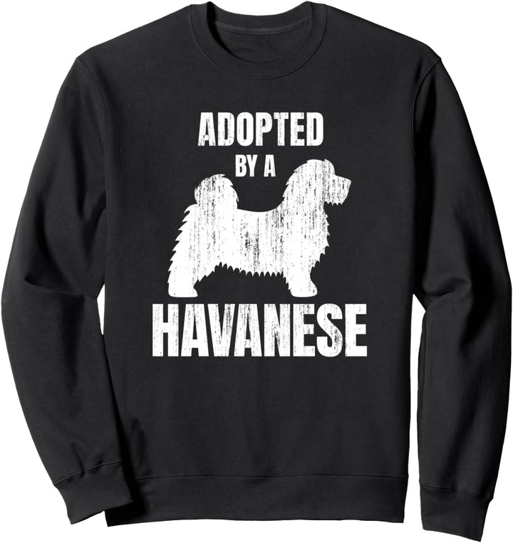 Havaneser Sweatshirt