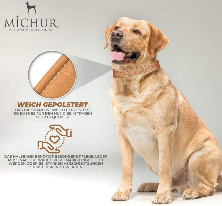 MICHUR Felipe Hundehalsband Leder, Lederhalsband Hund, Halsband, Leder, Caramel, Beige, Braun, MIT S
