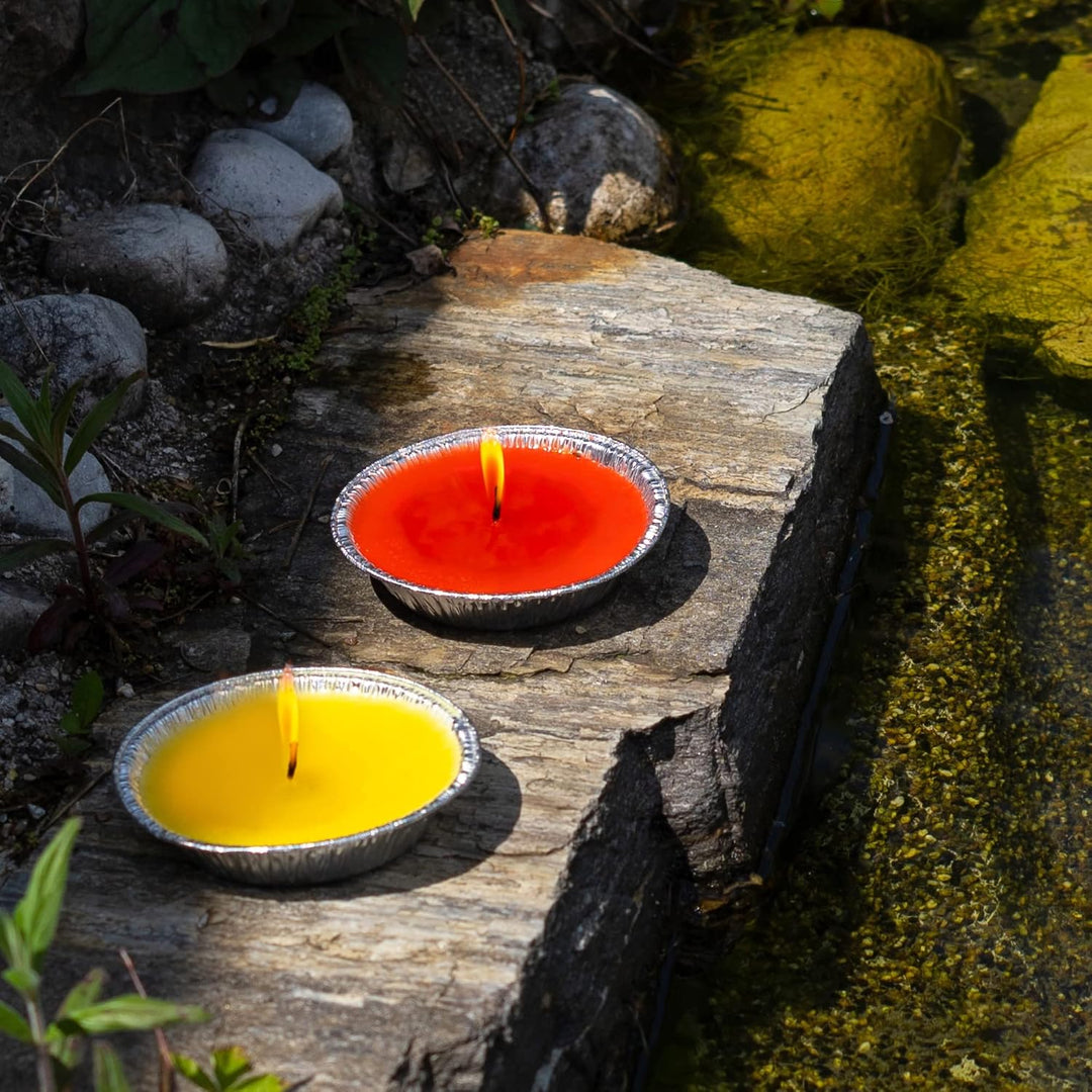 HOFER 30 x Citronella-Flammschalen für draussen | hochwertige Citonella Kerze Outdoor | mit Citronel