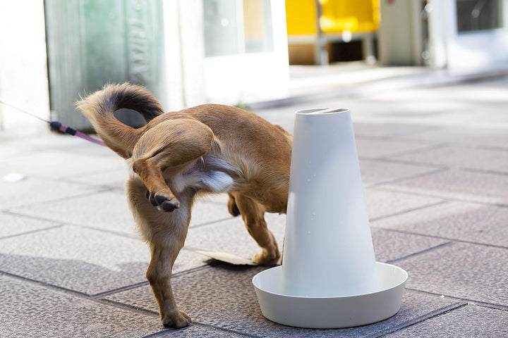 PIPPI WC-Toilettenschalen, Urinal, Hunde, Männer, saugfähiges Zubehör, Weiss