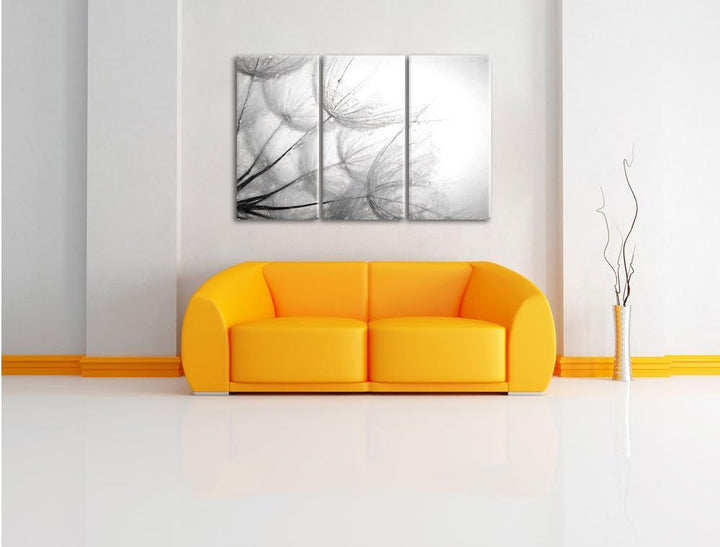 Pixxprint Tropfen bedeckte Pusteblumen als Leinwandbild/Grösse: 3 Teilig (120x80) cm/Wandbild/Kunstd