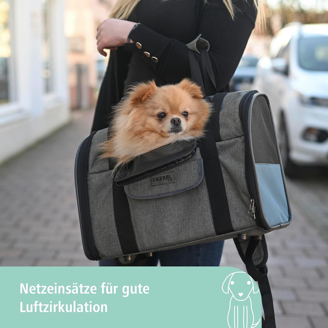 Hunderucksack Vacation 43x24x30cm, grau/blau