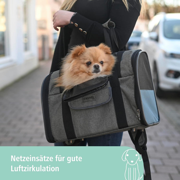 Hunderucksack Vacation 43x24x30cm, grau/blau