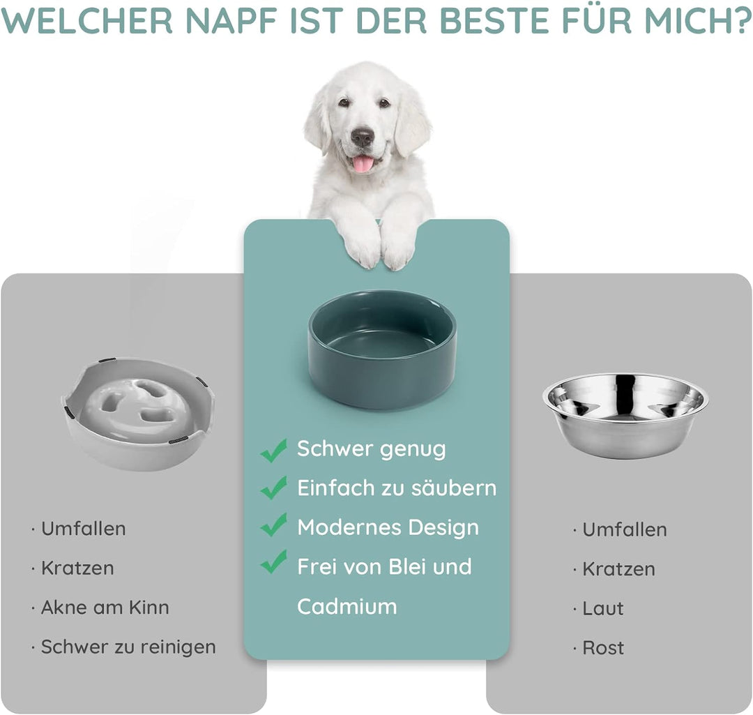 SPUNKYJUNKY Keramik Doppel Futternapf mit Bambus Ständer für Katzen und Hunde (400ml, Grün) Türkis D