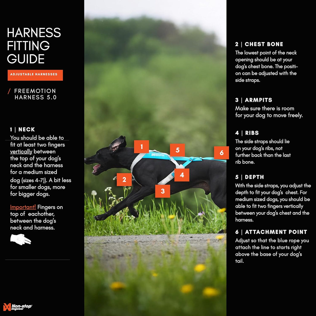 Non-Stop dogwear Freemotion Harness 5.0 | Hunde-Geschirr für alle Sportarten, Grösse:Grösse 8 schwar