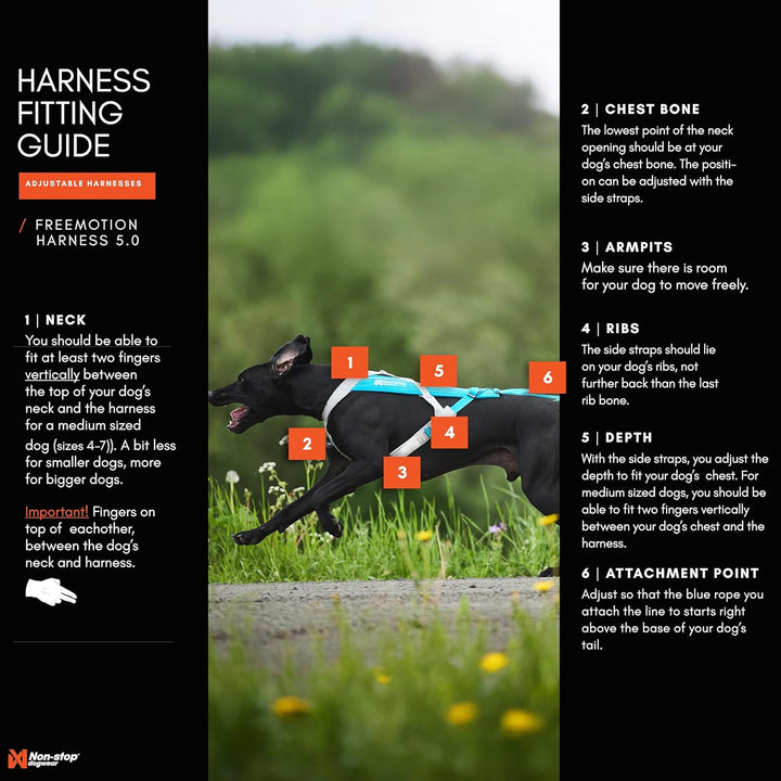 Non-Stop dogwear Freemotion Harness 5.0 | Hunde-Geschirr für alle Sportarten, Grösse:Grösse 8 schwar