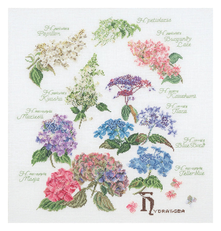 Thea Gouverneur - Kreuzstich-Set - Hortensien-Panel - Leinen - 32 Count - Für Erwachsene - 3067, Hor