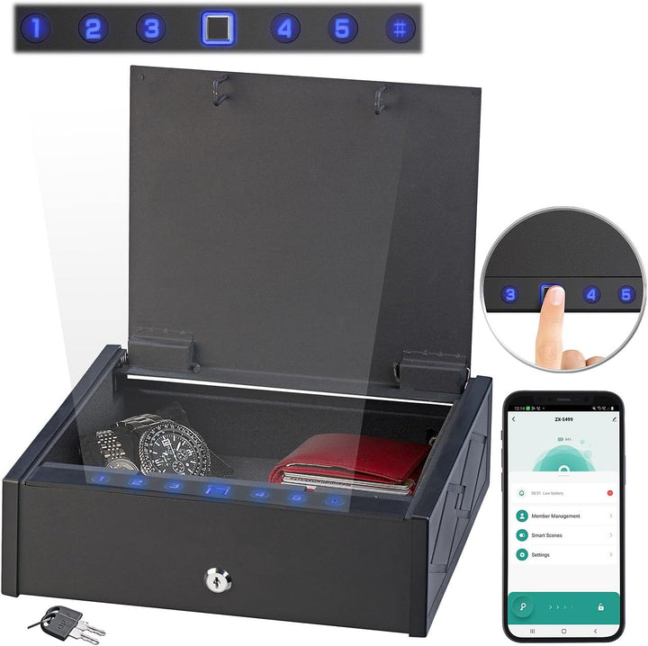 Xcase Safe: Smarter Tresor mit biometrischer Fingerabdruckerkennung, App (Safe Tresor mit Schlüssel,