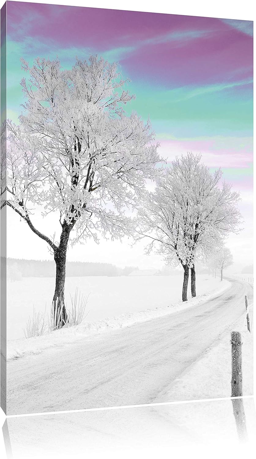 Schneebedeckter Baum in schöner Winterlandschaft schwarz/weiss, Format: 80x120 auf hochkantiges Lein