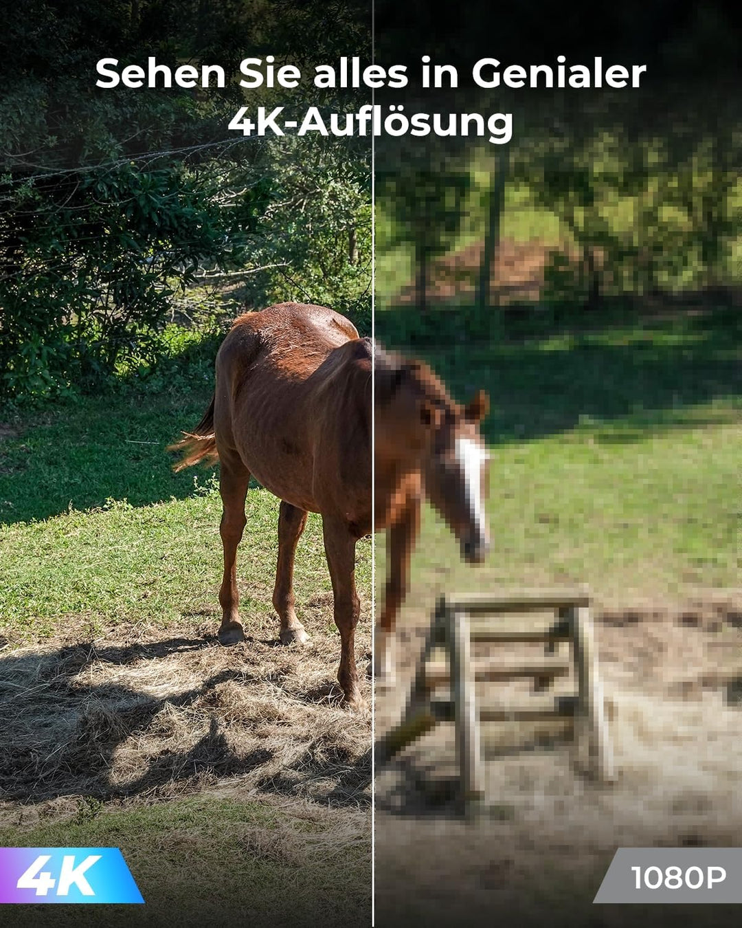 Reolink 4K 3G/4G LTE Überwachungskamera mit SIM Karte, 355°&140° PTZ Solar Kamera Outdoor mit 8MP Fa