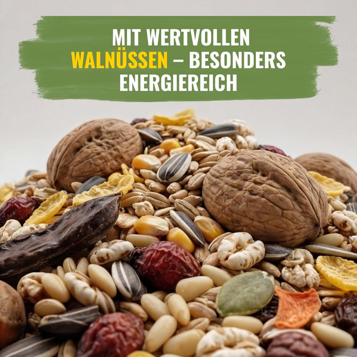 Eichhörnchenfutter 1 kg für Eichhörnchen & Streifenhörnchen I Ganzjahres-Futter Eichhörnchen, Streif