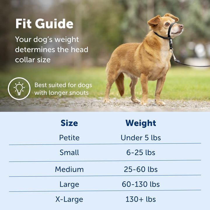 PetSafe Sanfter Führer Halsband mit Trainings-DVD schwarz Petite Under 5 Lb., schwarz Petite Under 5