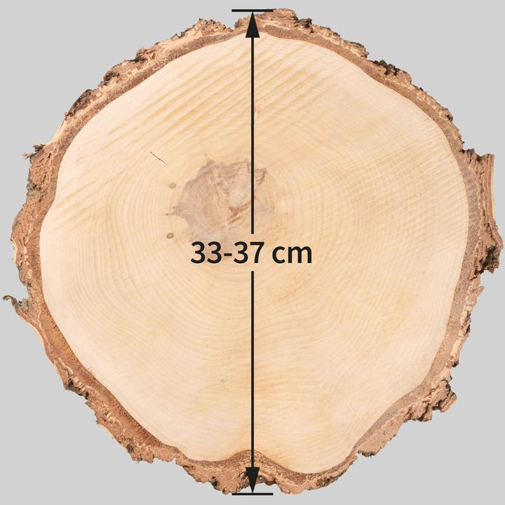 Grosse Holzscheibe 35 cm zum Holz-Deko Basteln - 1 Stk. runde EU Birkenholz Baumscheibe 1 Ø 35 cm, 1