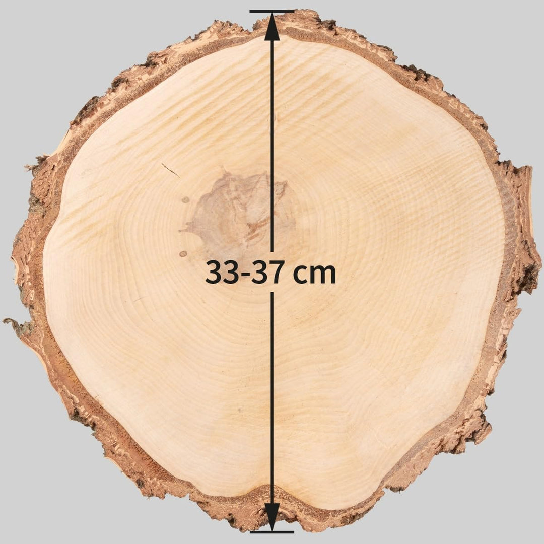 Grosse Holzscheiben zum Basteln oder Dekorieren - 5 Stück naturbelassene Baumscheiben ca. 35 cm (33