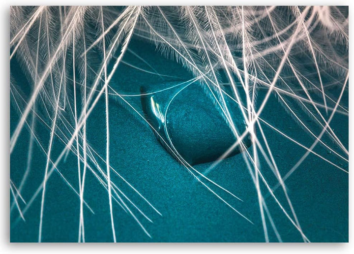 Feeby Wanddeko Wassertropfen Leinwandbild Kunstdruck Natur Blau 100x70 cm M14230 100x70 cm, M14230 1