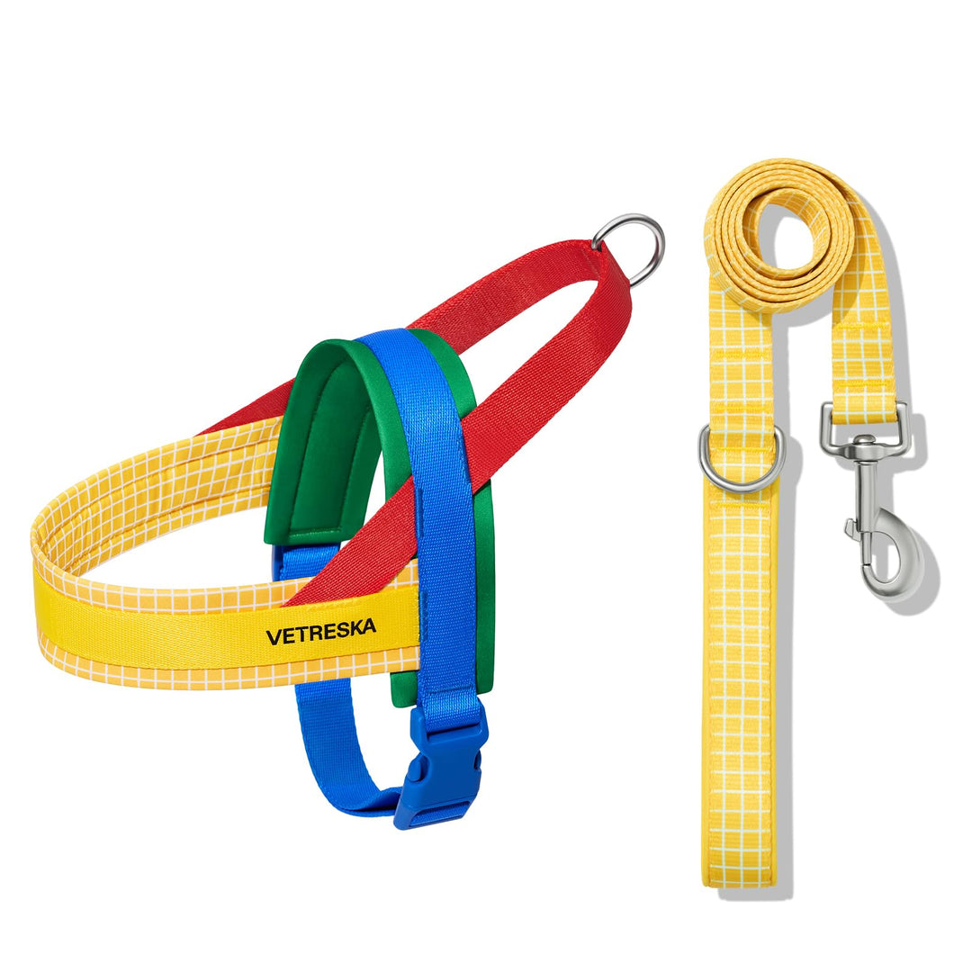 VETRESKA No Pull Hundegeschirr für kleine Hunde, Easy Walk Hundegeschirr und Leine Set, Welpengeschi