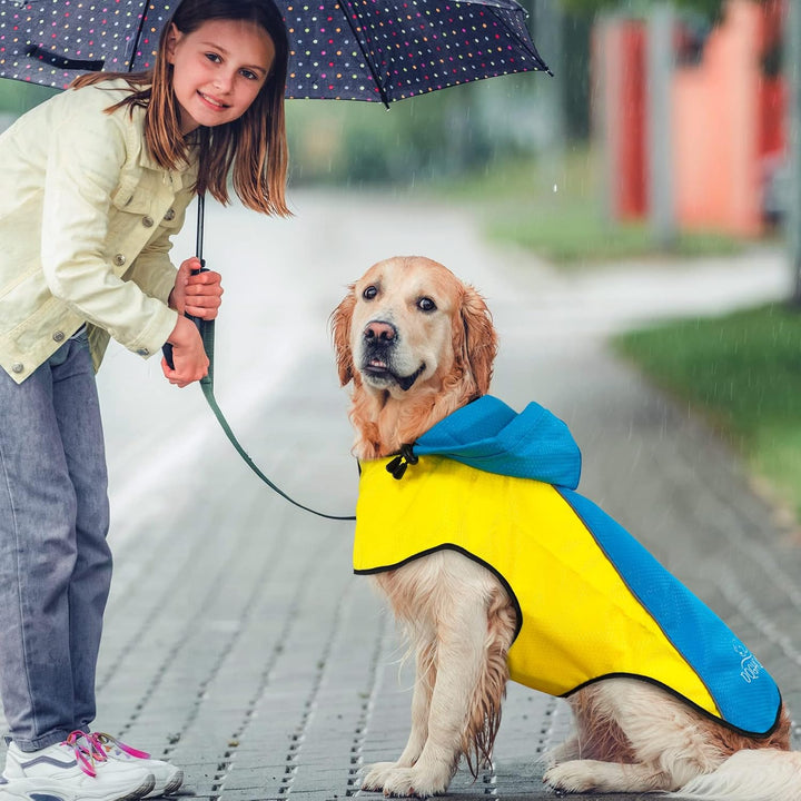 Regenjacke Hund DQGHQME Hunderegenmantel, Regenmantel Hund Wasserdicht, Einstellbare Regencape Hund,