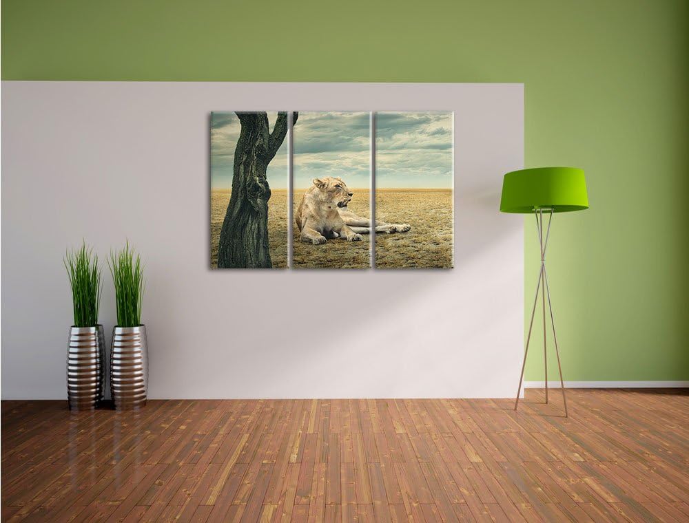 Pixxprint Löwin Ruhe Savanne 3-Teiler Leinwandbild 120x80 Bild auf Leinwand